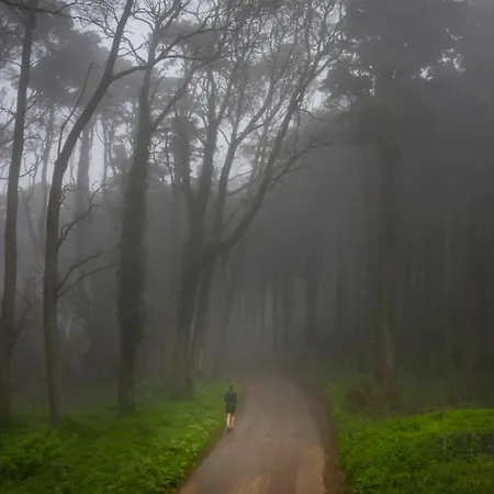 Willa Dream Garden Sintra