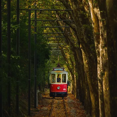 Villa Dream Garden *