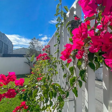 Villa Dream Garden Sintra