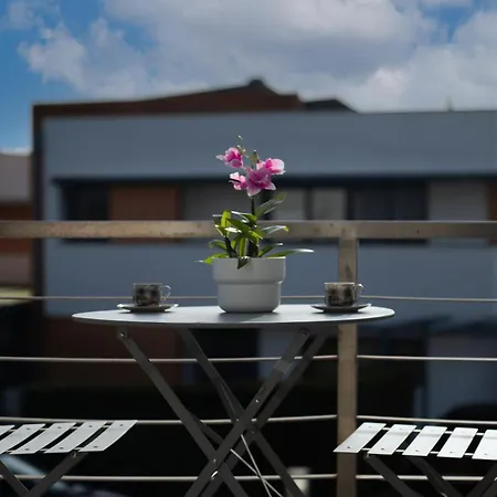 Dream Garden Willa *