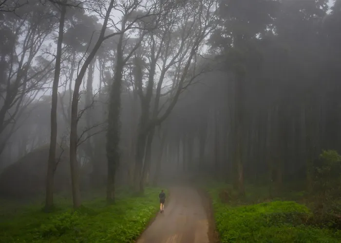 Villa Dream Garden Near Cascais Sintra